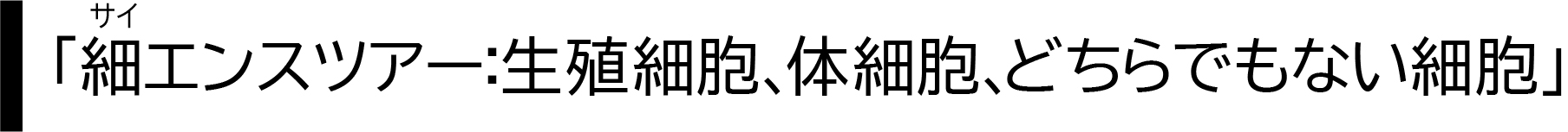 細エンスツアー：生殖細胞、体細胞、
どちらでもない細胞